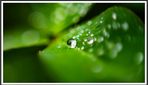 Adobe Secrets: Add Easy Borders to Photos in Lightroom, Lightroom Classic, and Photoshop