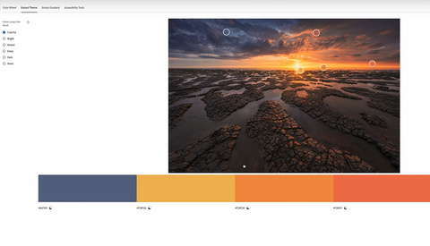 9 Tips for Better Colors in Your Photos