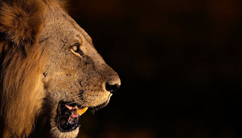 Take Control of Your Camera With This Setting