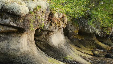 Techniques for Turning Harsh Light into Photographic Art