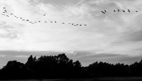 A Month in Monochrome: Exploring the Leica M10 Monochrom