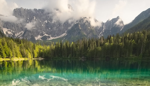 Step-by-Step Guide to Improving Photo Contrast in Lightroom