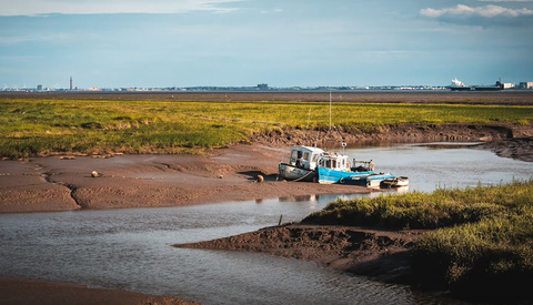 Exploring the Viability of Micro Four Thirds Cameras