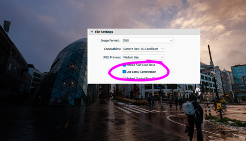 Should You Convert Raw Files Into Lossy DNG to Save Space, or Is It Better To Ignore This File Format?