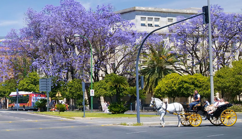 Is the Sigma fp L the Right Camera for You?